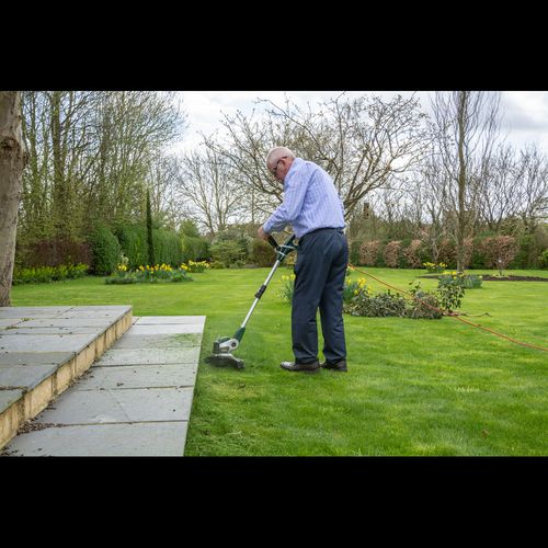 Webb Classic 650w 29cm (12") Linetrimmer & Edger - plants - express.com