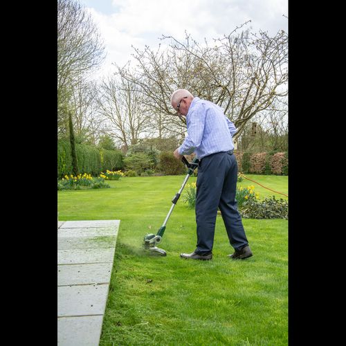 Webb Classic 650w 29cm (12") Linetrimmer & Edger - plants - express.com