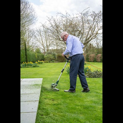 Webb Classic 650w 29cm (12") Linetrimmer & Edger - plants - express.com