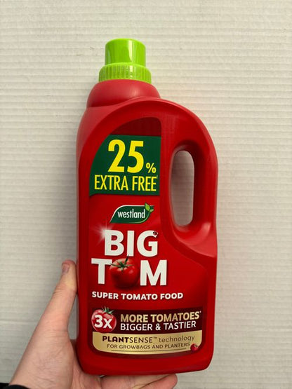 Westland Big Tom Super Tomato Food - 1.25L of Nutrient - Packed Plant Boost! - plants - express.com