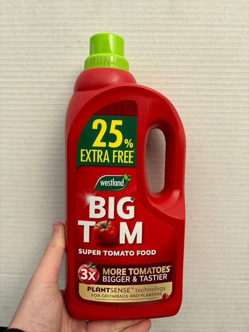 Westland Big Tom Super Tomato Food - 1.25L of Nutrient - Packed Plant Boost! - plants - express.com