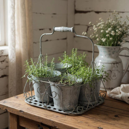 White 4 - Pot Planter - Minimalist Indoor Garden Centerpiece - plants - express.com