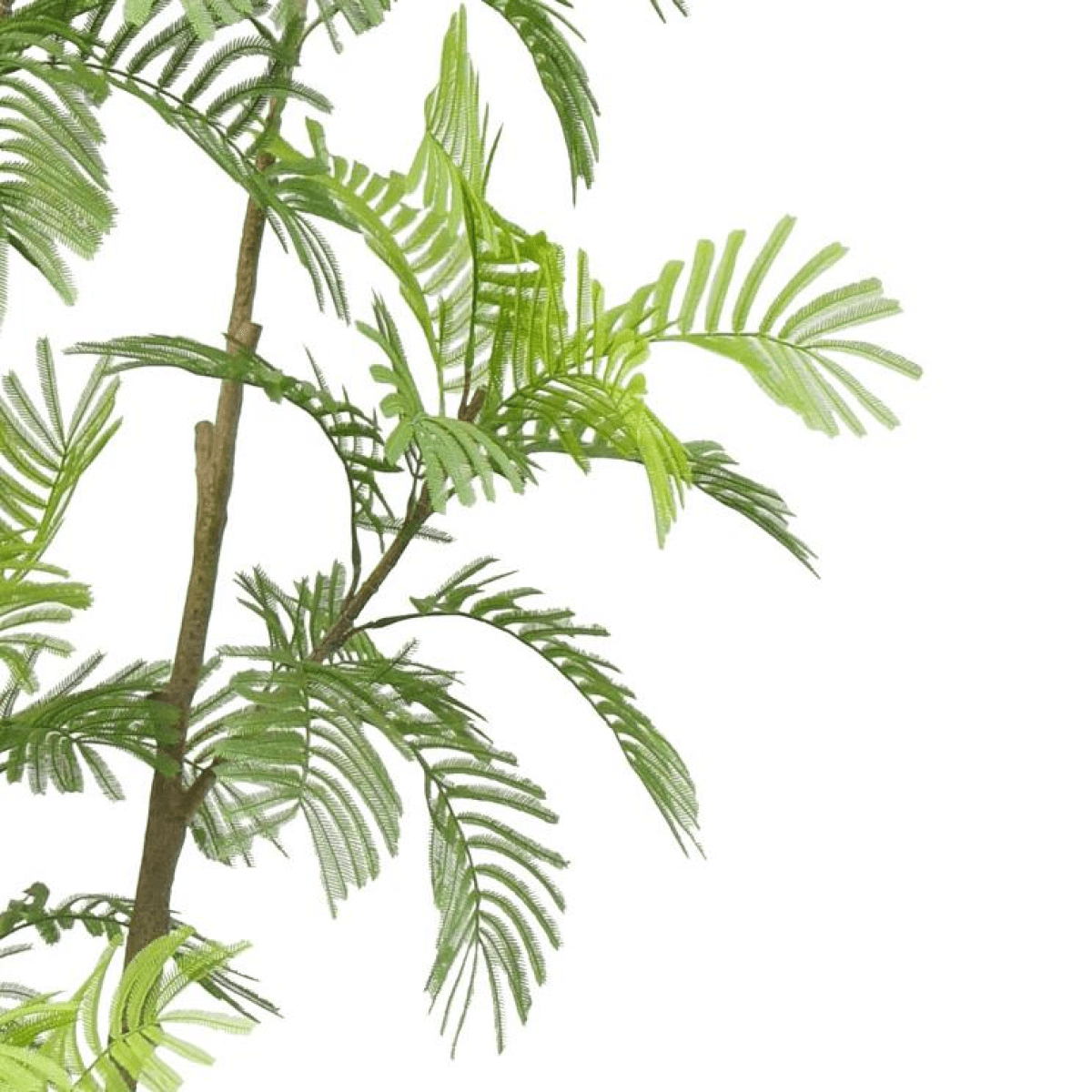 XL Spiny Date Palm - Lifelike 240cm Artificial Tree for Tropical Elegance - plants - express.com